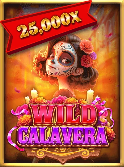 Classic bingo game cover